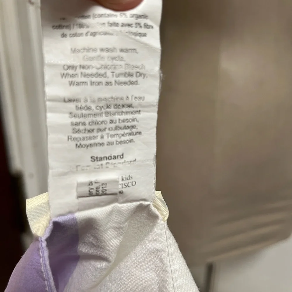 Pottery barn kids pillow case